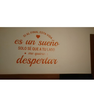 Vinilo decorativo sueño