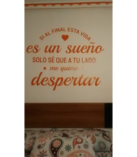 Vinilo decorativo sueño